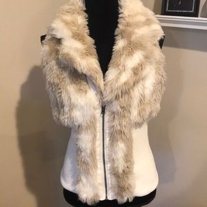 Winter vest